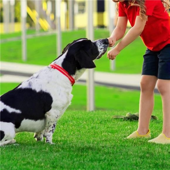 Artificial Grass Astroturf Rug 4 FT 11 in* 8 FT, Realistic Grass Mat w/ Drainage - Picture 2 of 6